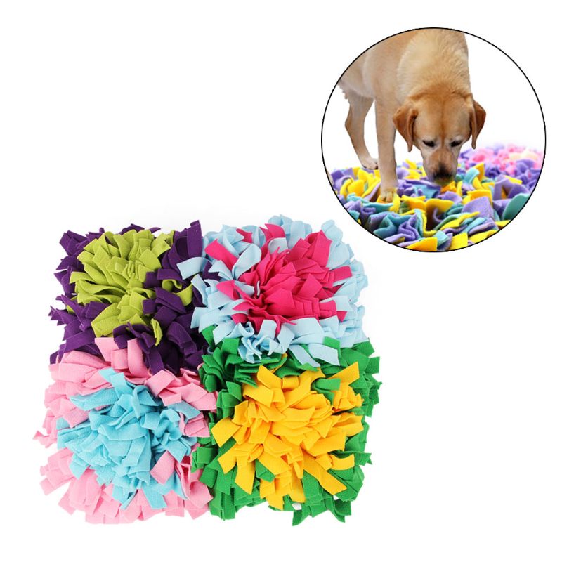 Pet hot style sniffs the mat