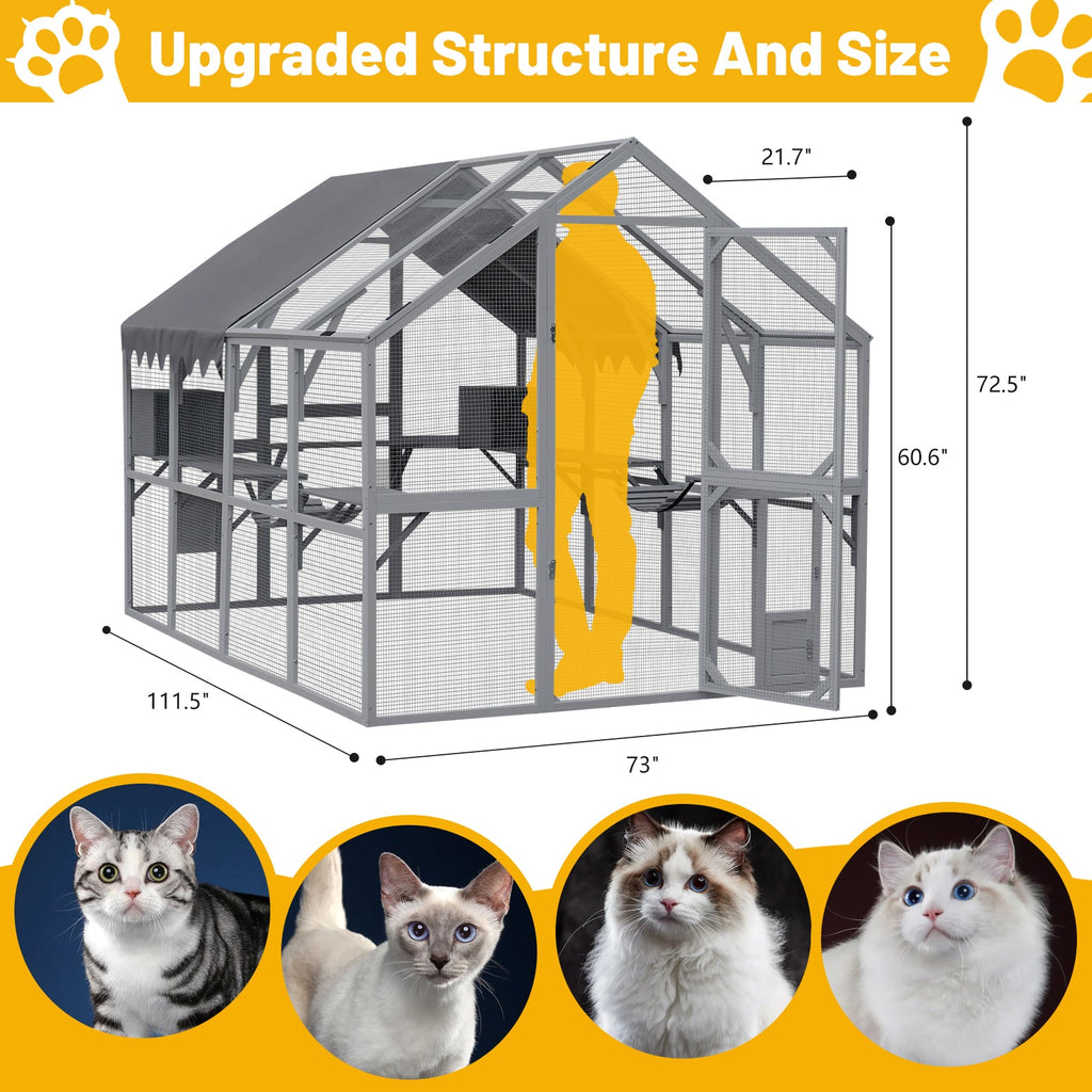 Spacious Outdoor Cat House