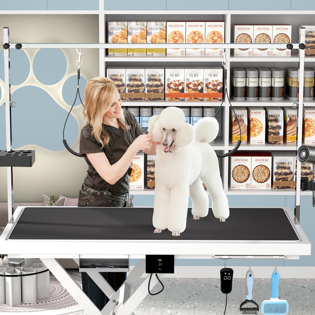 Professional Electric Pet Grooming Table