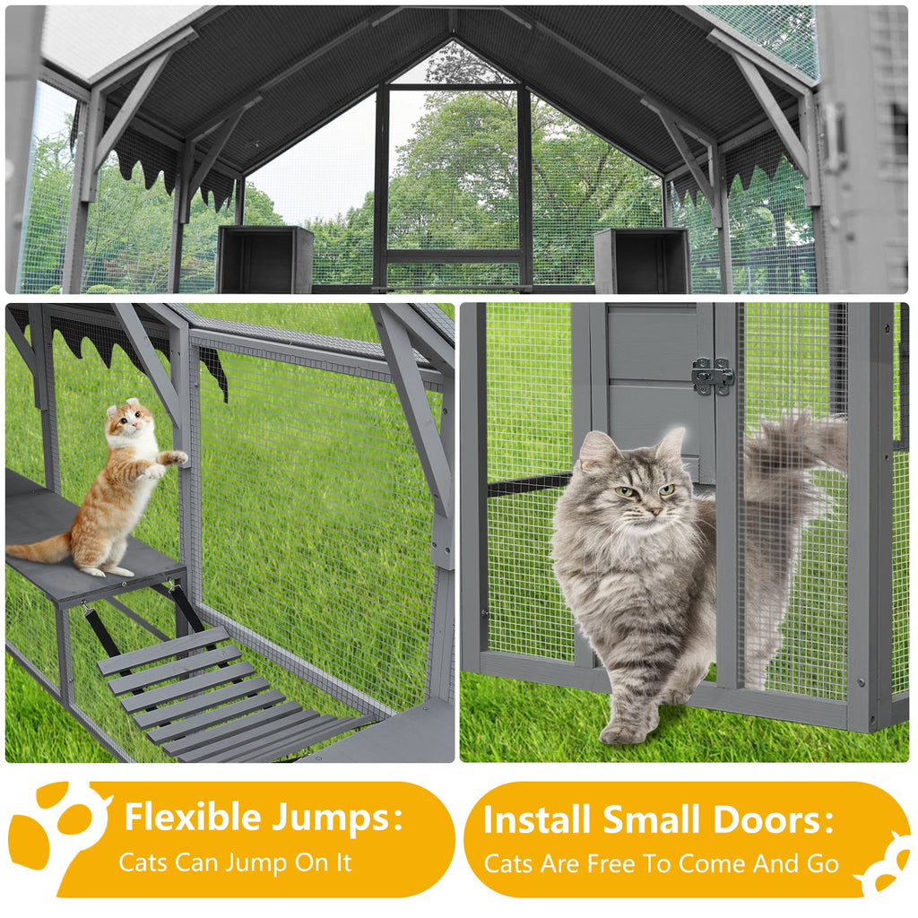 Spacious Outdoor Cat House