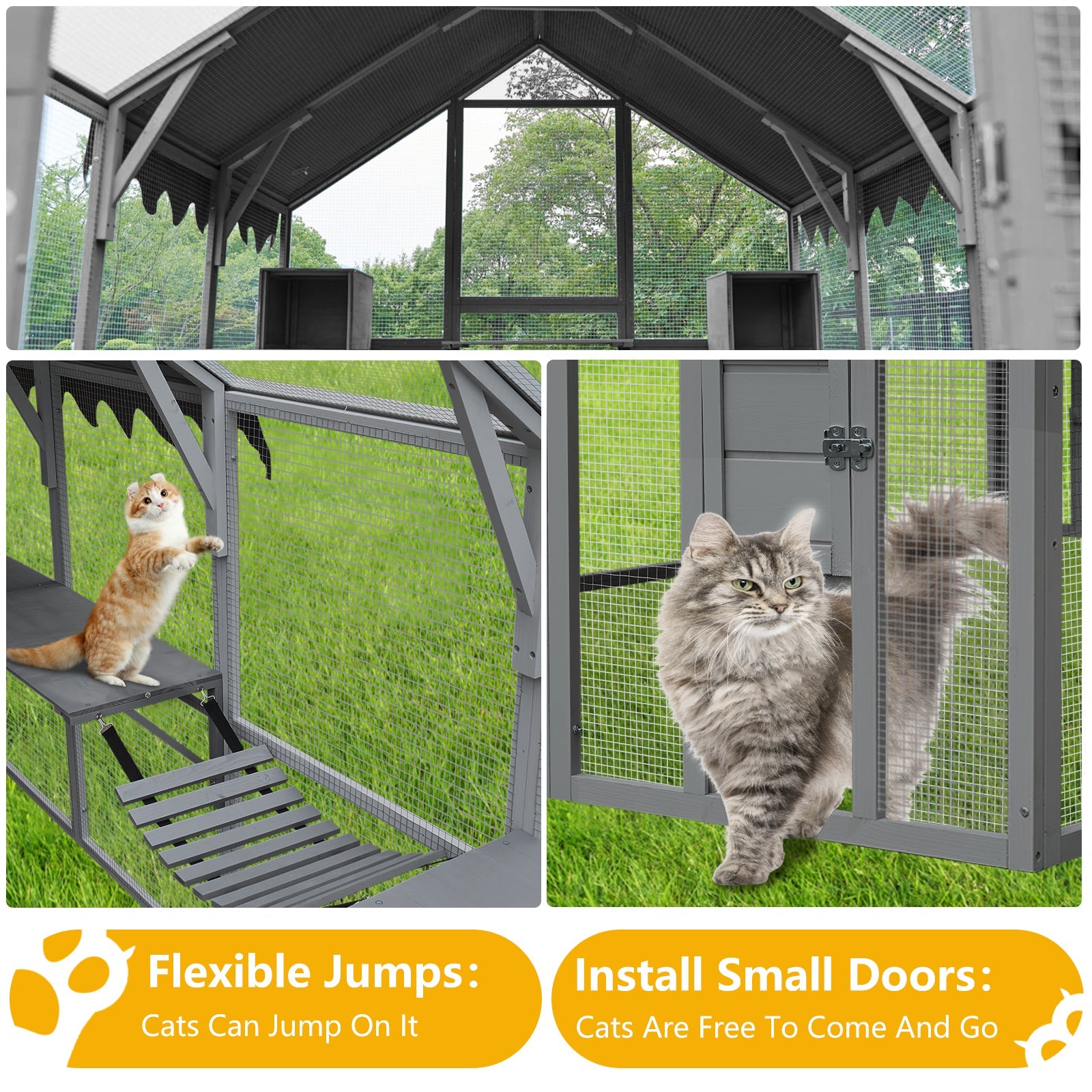 Spacious Outdoor Cat House