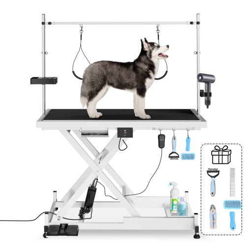 Professional Electric Pet Grooming Table