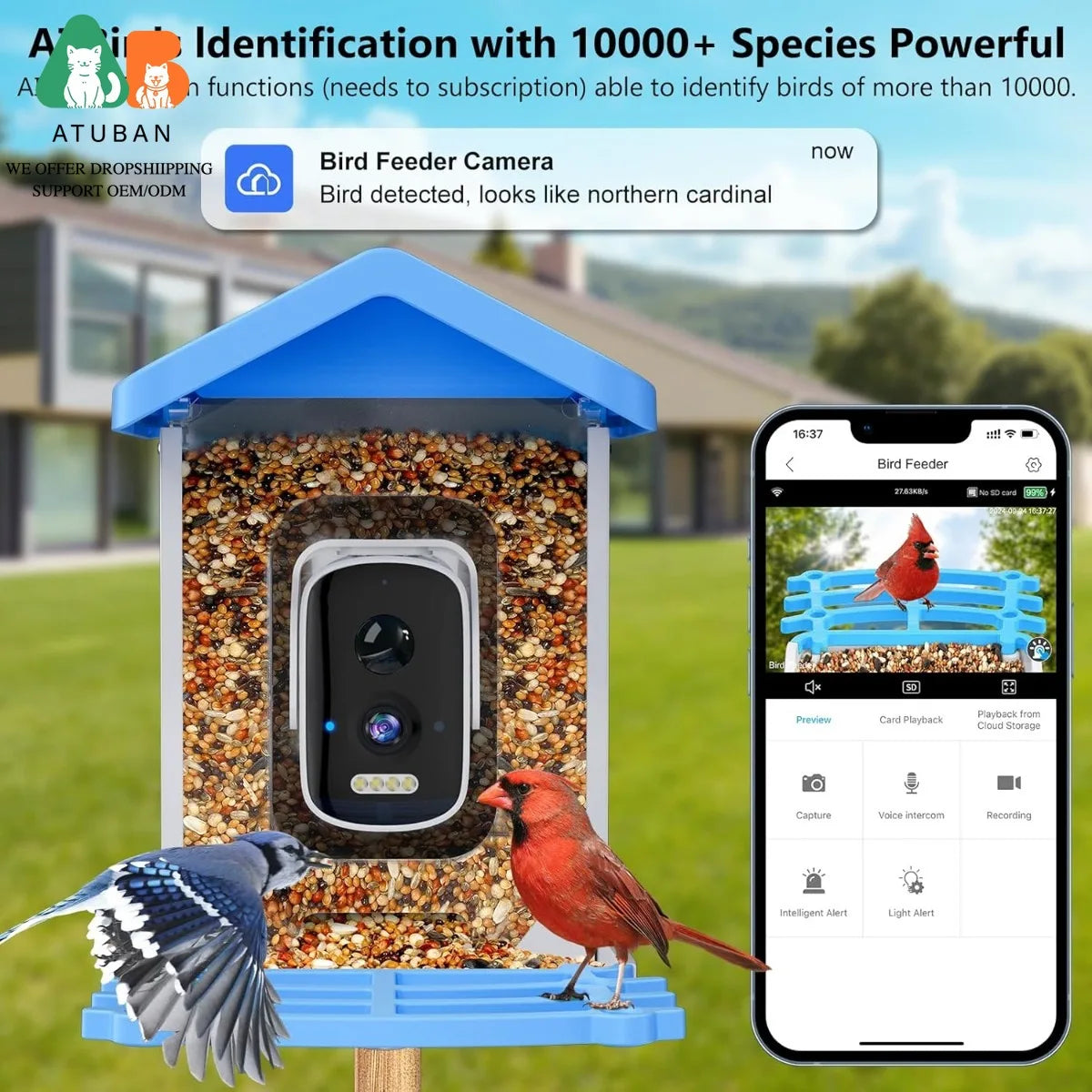 ATUBAN Smart Bird House with Camera and solar
