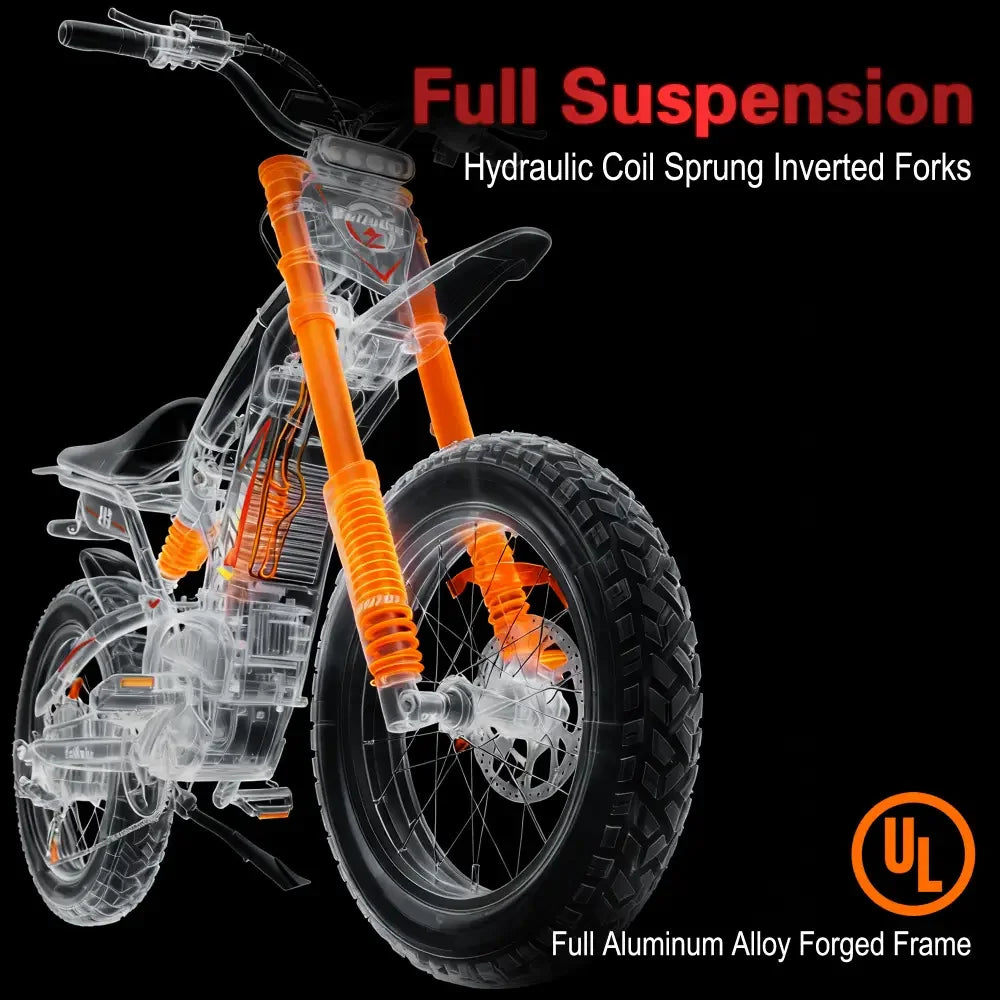 E-Bike Adult Electric Motorcycle