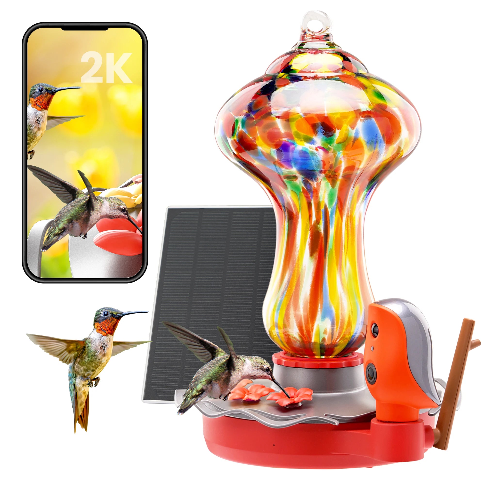 Glass Smart Hummingbird Feeder with Camera Solar Powered
