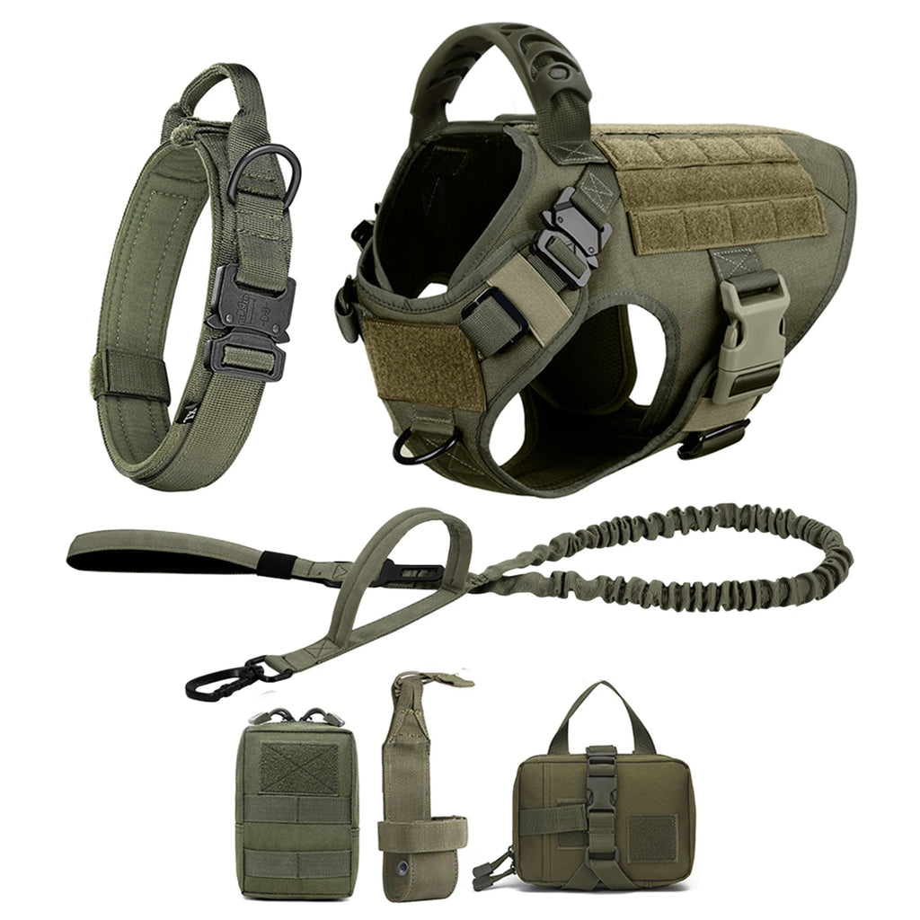 Large Dog Harness And Leash Set