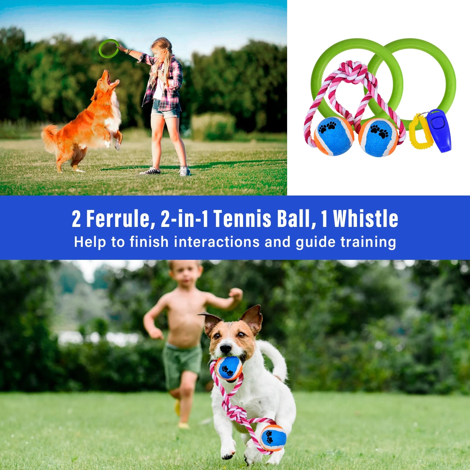 Dog Agility Course Backyard Set