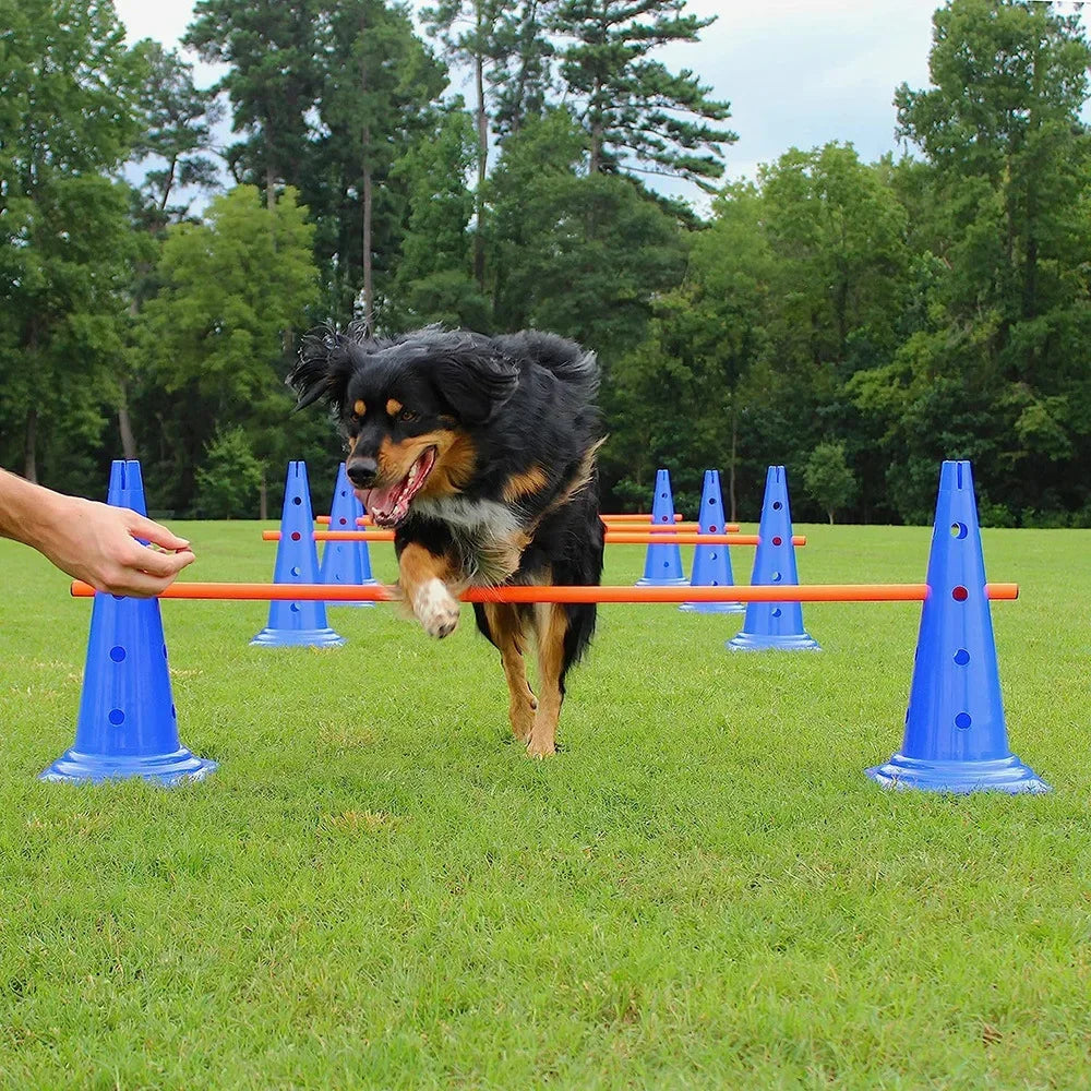 Obstacle Training Equipment Set for Pet