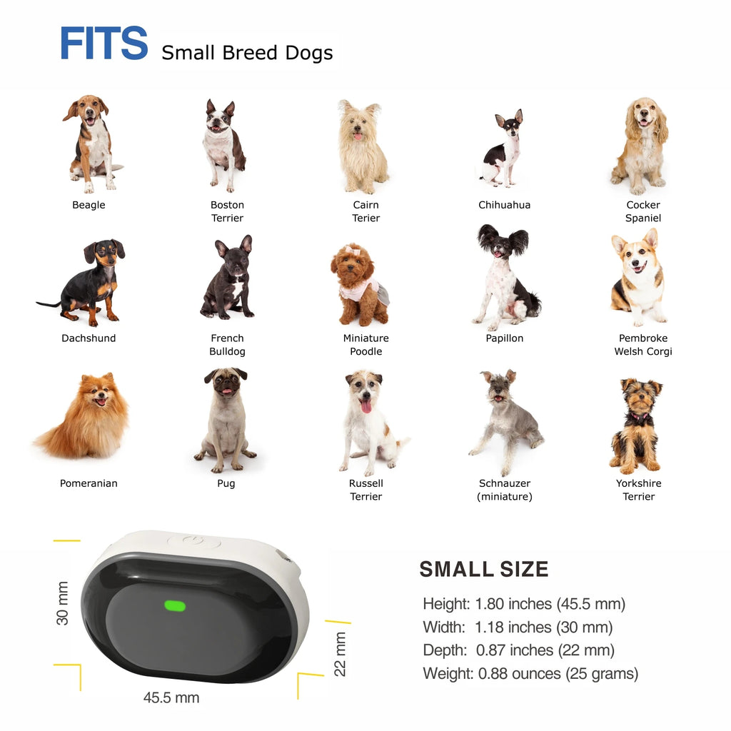 Rechargeable Small Dog Training Collar