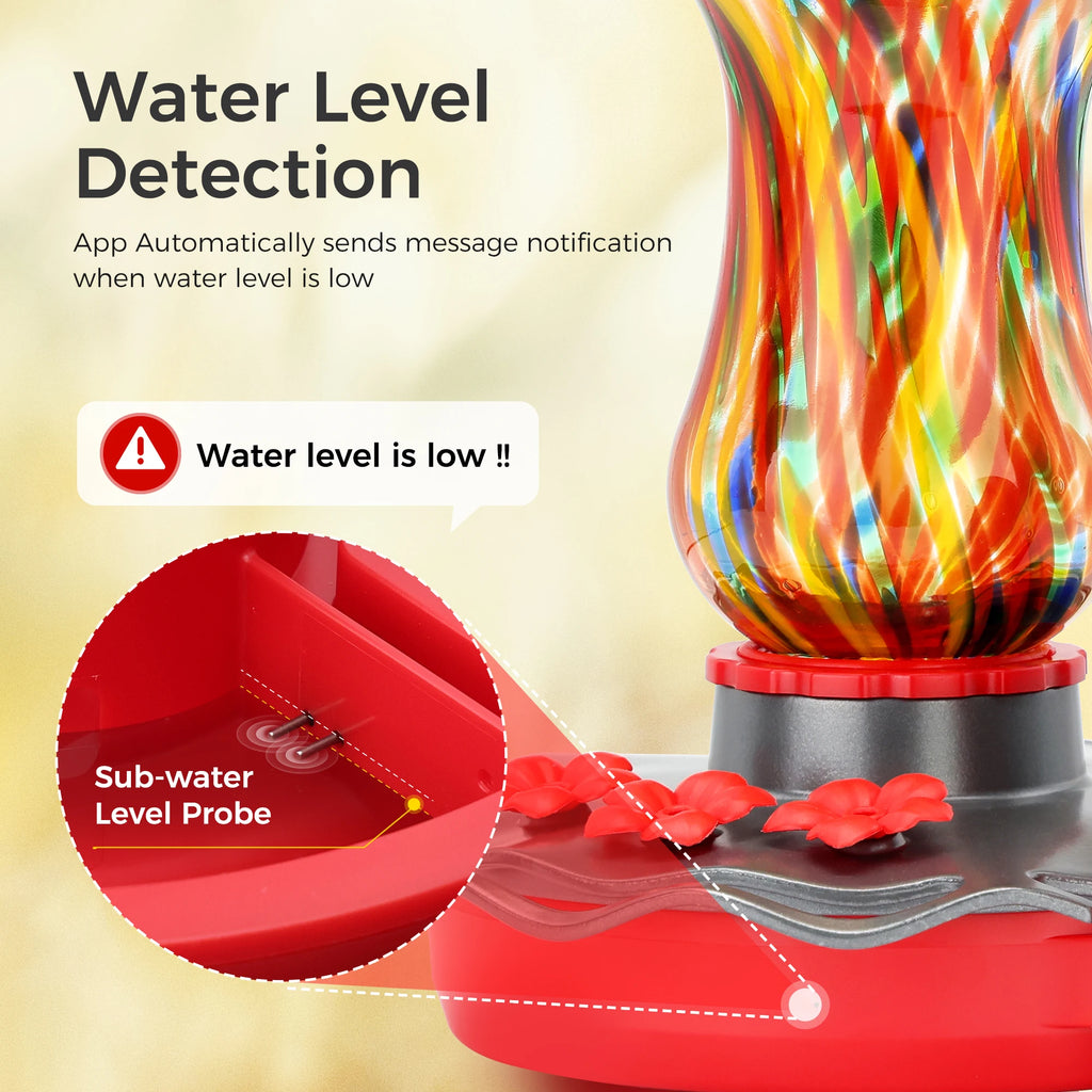 Glass Smart Hummingbird Feeder with Camera Solar Powered