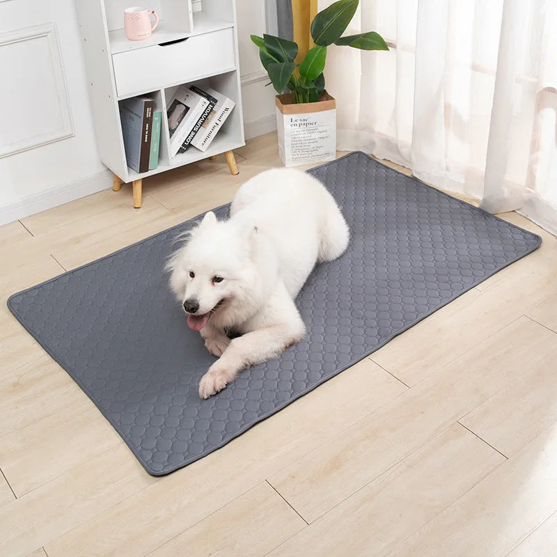 Dog Pee Pad Blanket Reusable Highly Absorbent Diaper Training Pad