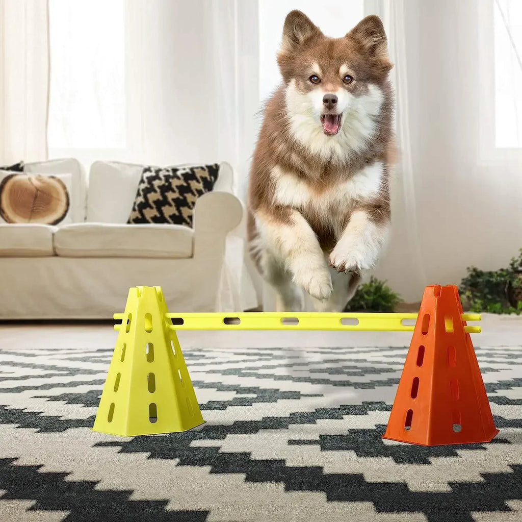 Obstacle Training Equipment Set for Pet