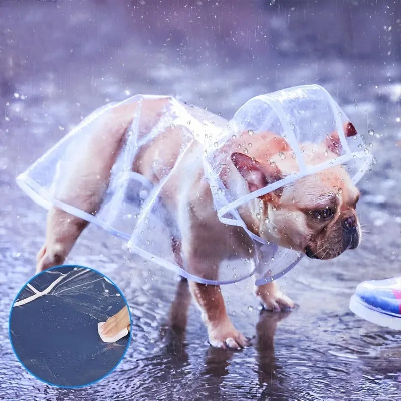 Clear Waterproof Dog Raincoat Small Medium Size