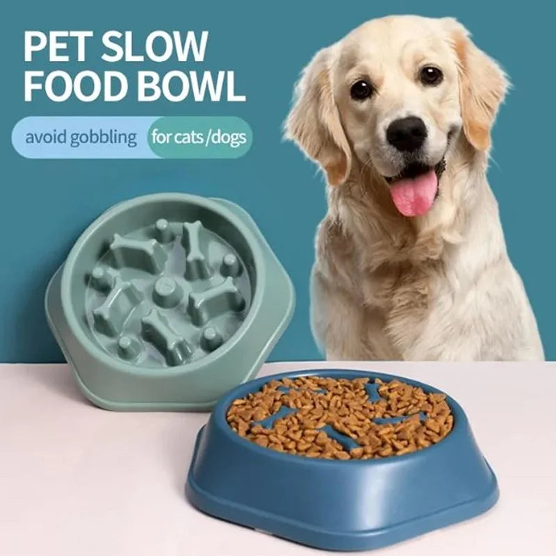 Slow Feeder Dog Cat Bowl