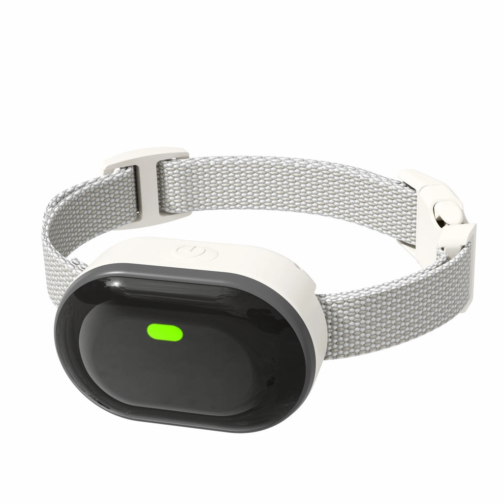 Rechargeable Small Dog Training Collar