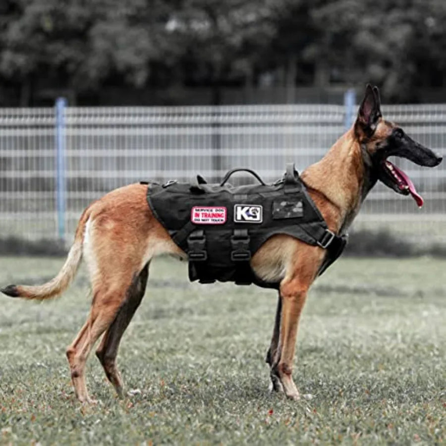 Tactical Dog Harness No Pull for Large Working Dogs