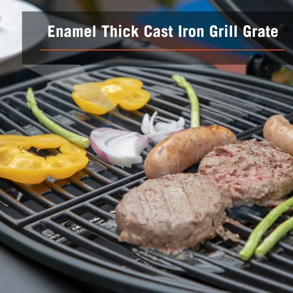 2 Burner Portable Desktop Propane Gas Grill