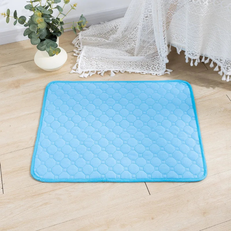 Dog Pee Pad Blanket Reusable Highly Absorbent Diaper Training Pad