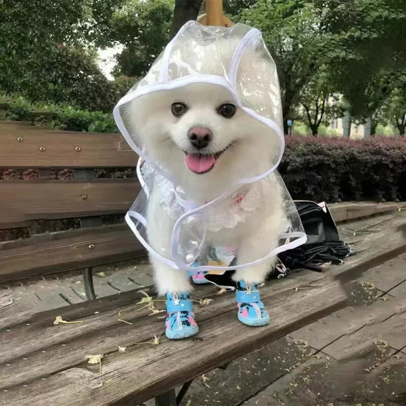 Clear Waterproof Dog Raincoat Small Medium Size
