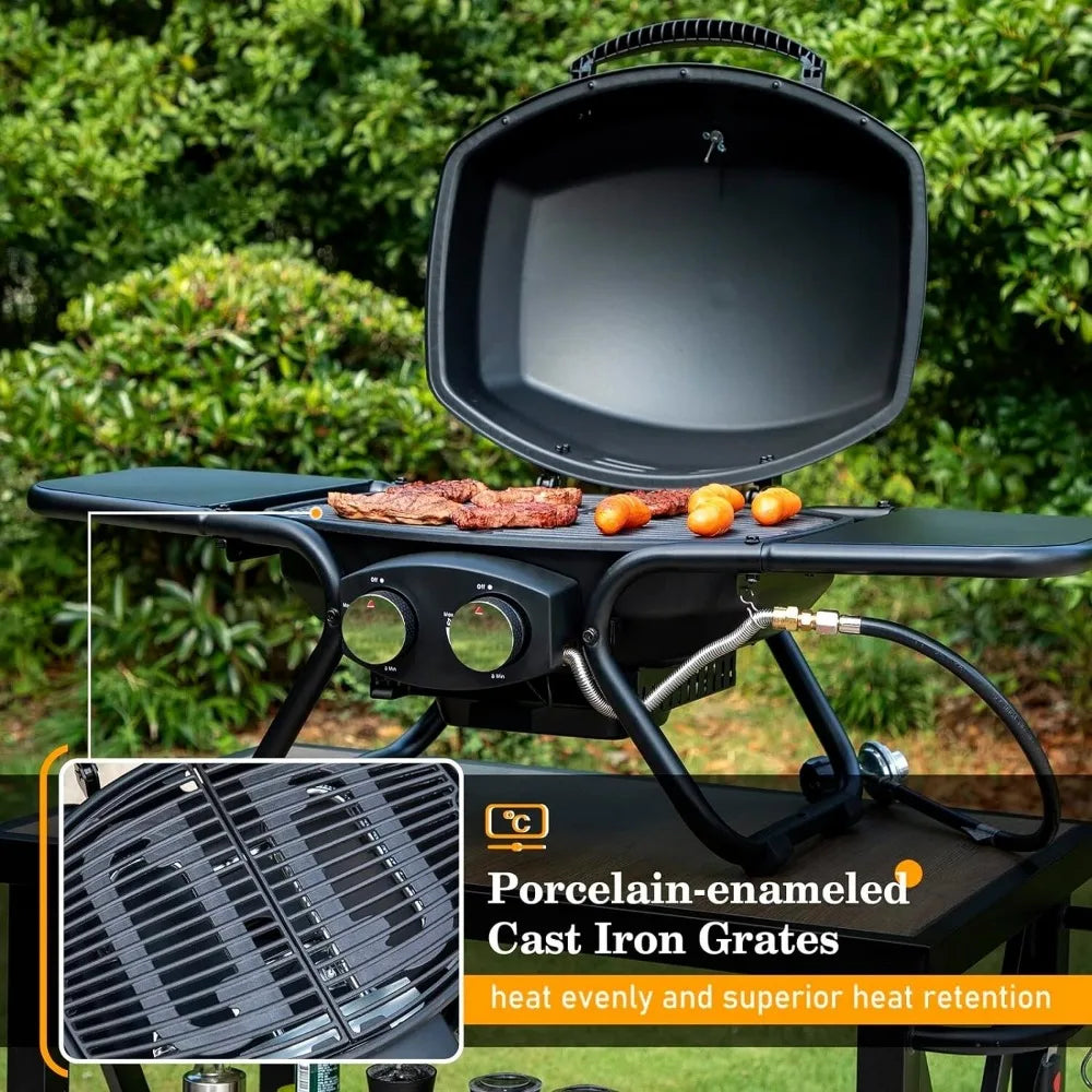 2 Burner Portable Desktop Propane Gas Grill