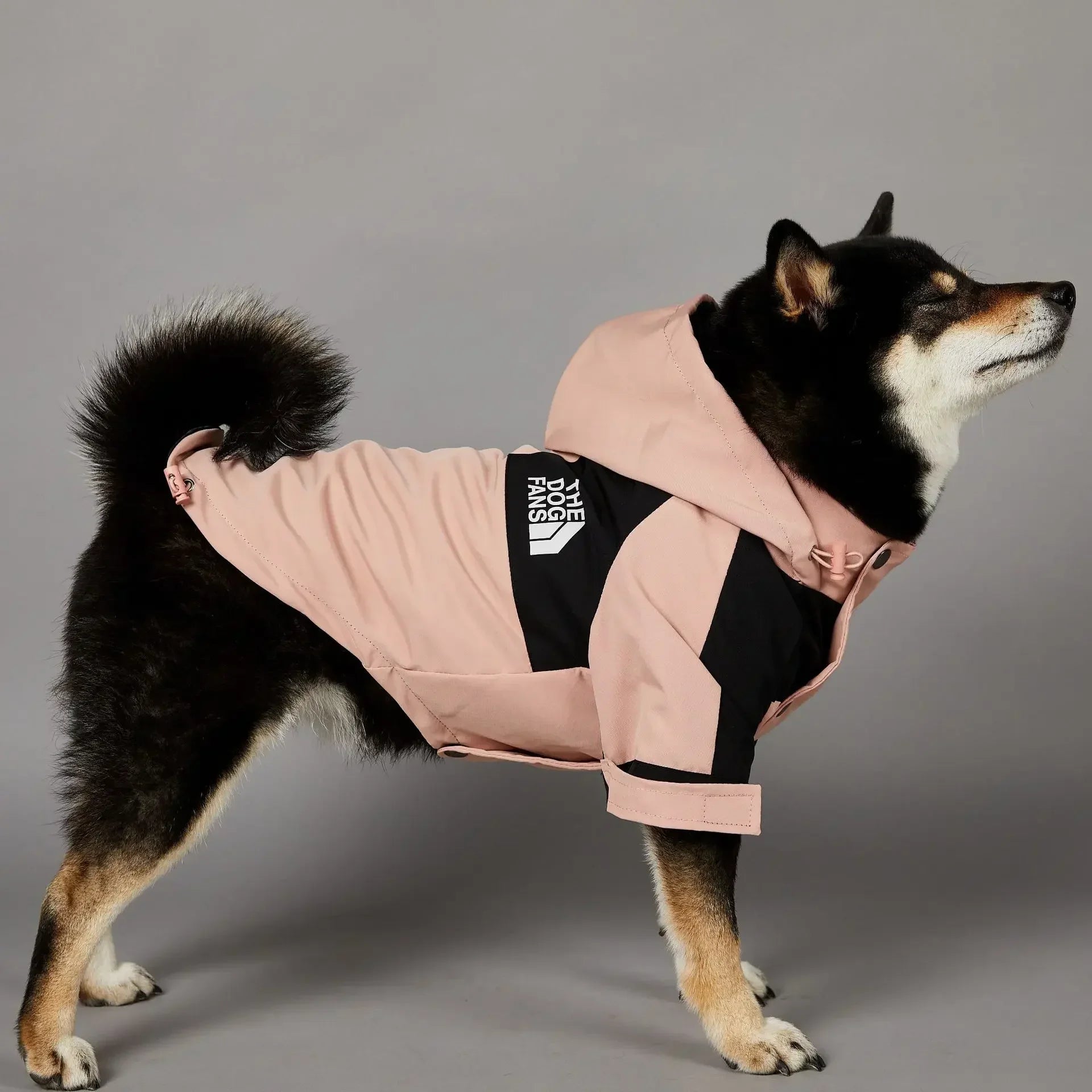 Small Dog Raincoat Clothes  Windbreake