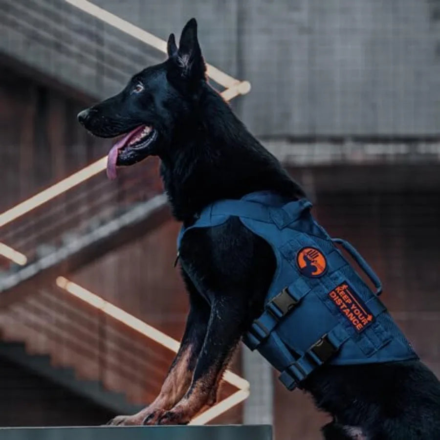 Tactical Dog Harness for Small Medium Large Dogs