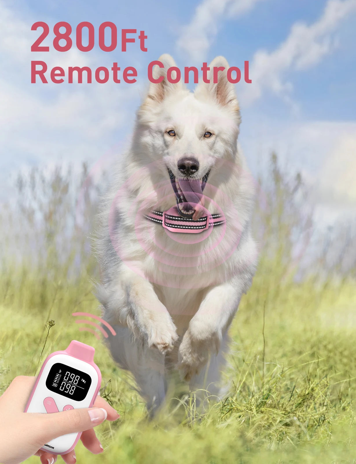 No Shock Dog Training Collar with Remote