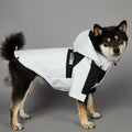 Small Dog Raincoat Clothes  Windbreake