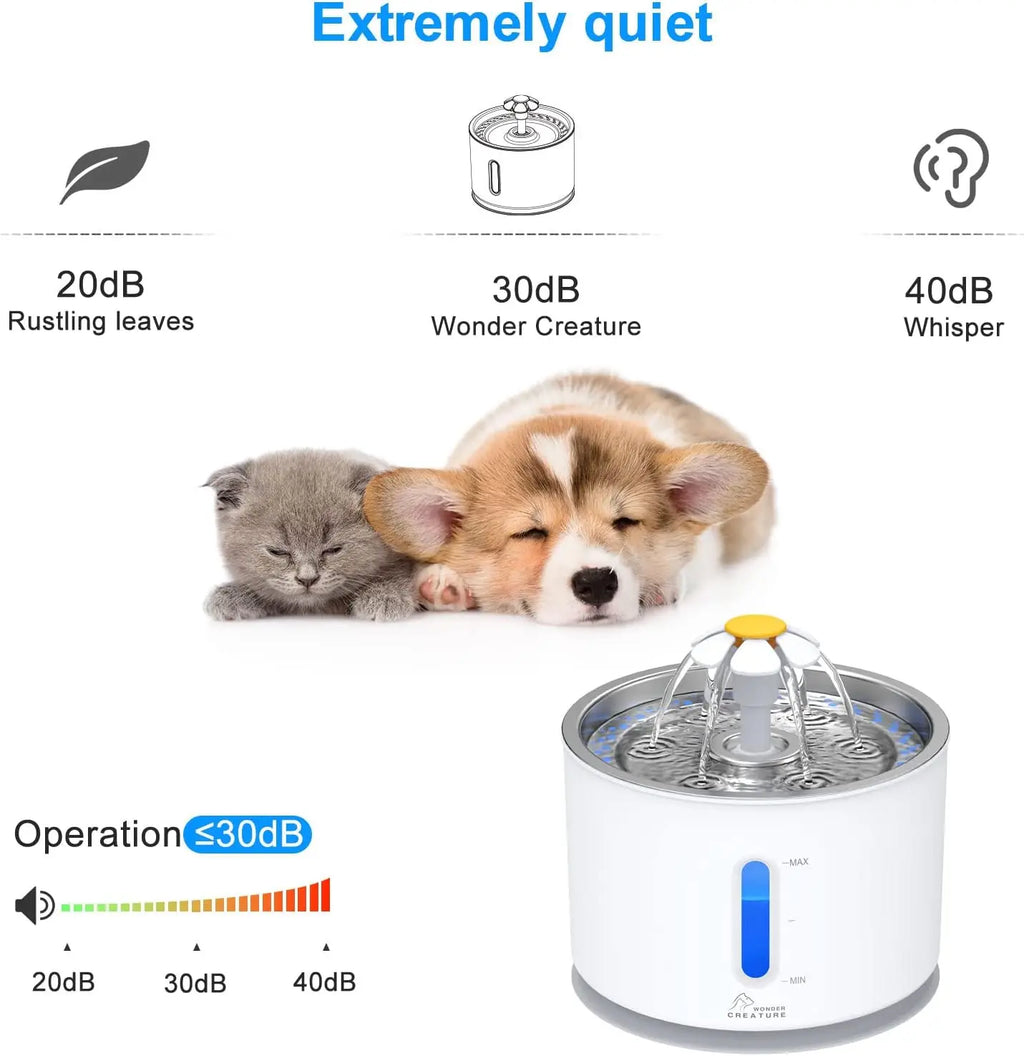 Automatic Pet Water Fountain with LED Light, Stainless Steel