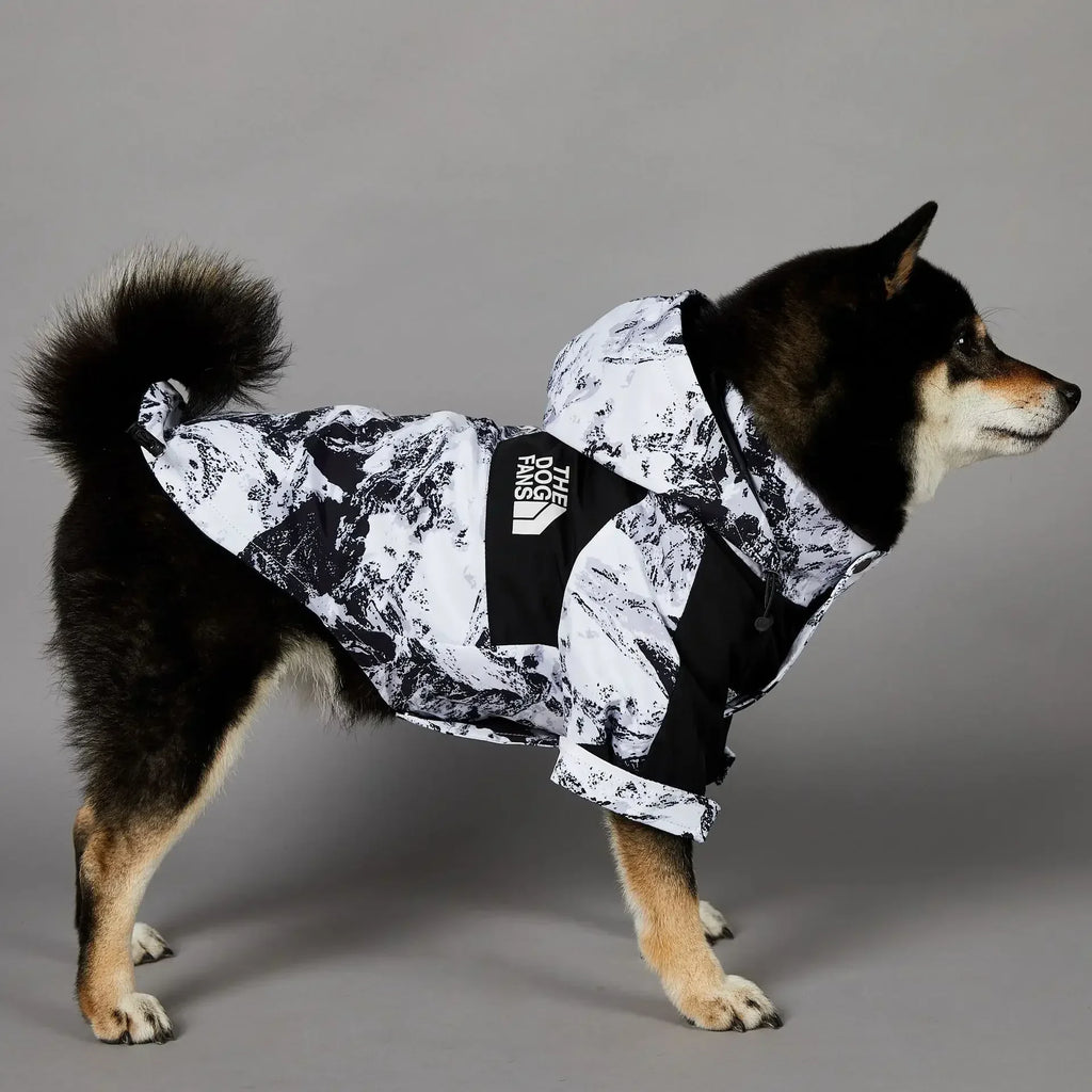 Small Dog Raincoat Clothes  Windbreake