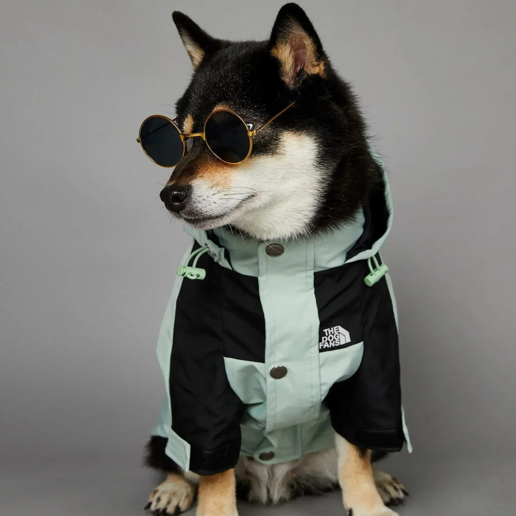 Small Dog Raincoat Clothes  Windbreake