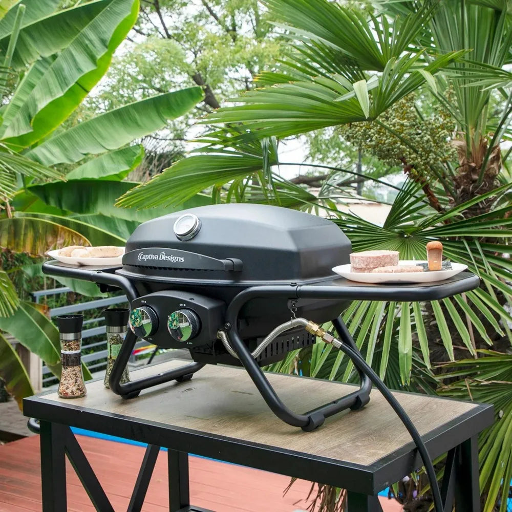 2 Burner Portable Desktop Propane Gas Grill