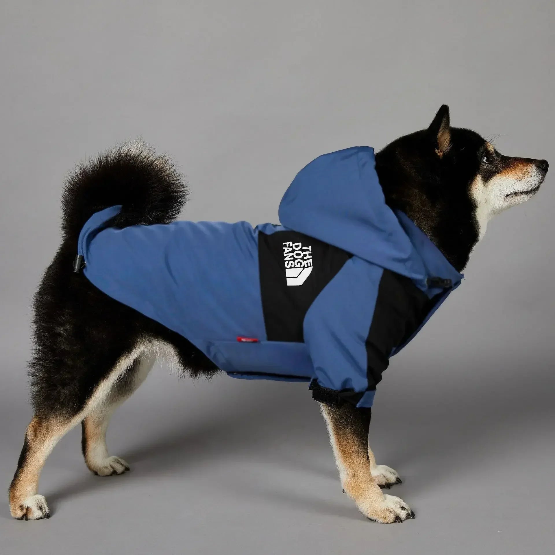 Small Dog Raincoat Clothes  Windbreake