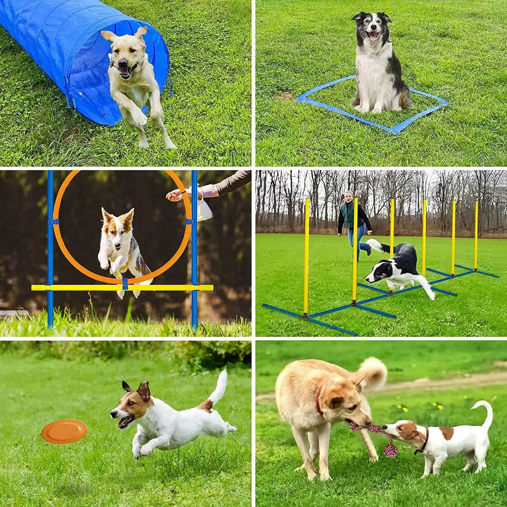 Obstacle Training Equipment Set for Pet