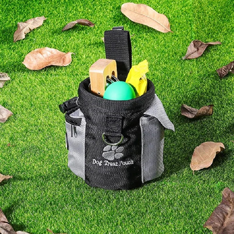 Dog outdoor training bag