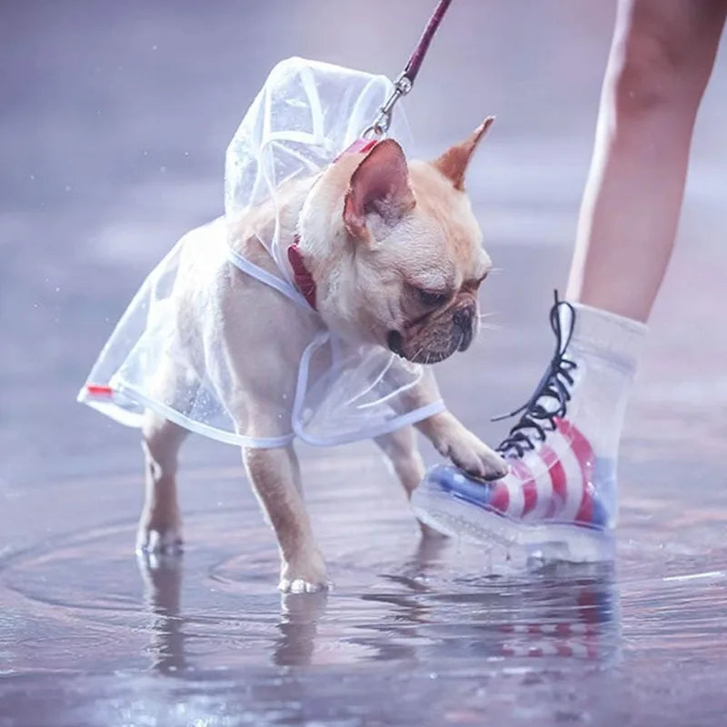 Clear Waterproof Dog Raincoat Small Medium Size
