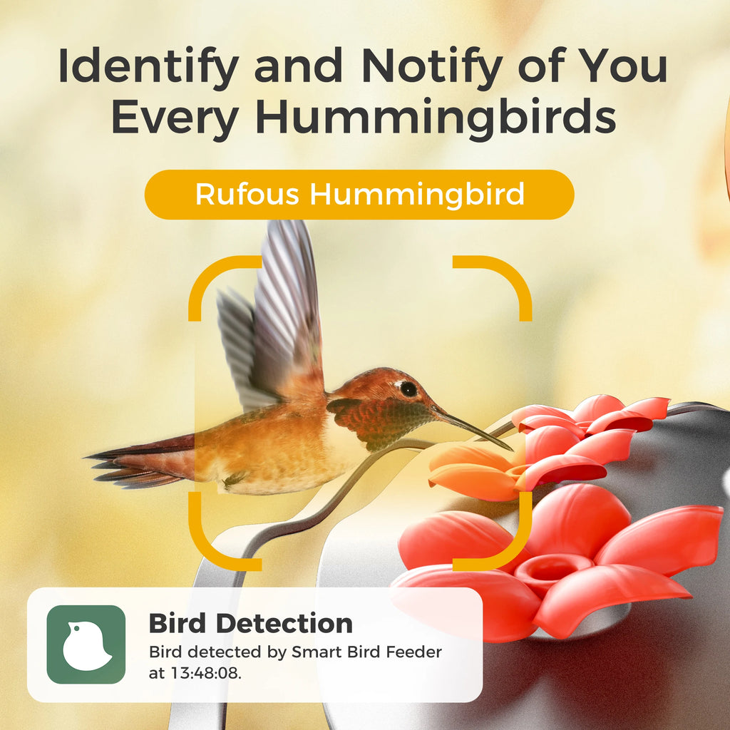 Glass Smart Hummingbird Feeder with Camera Solar Powered