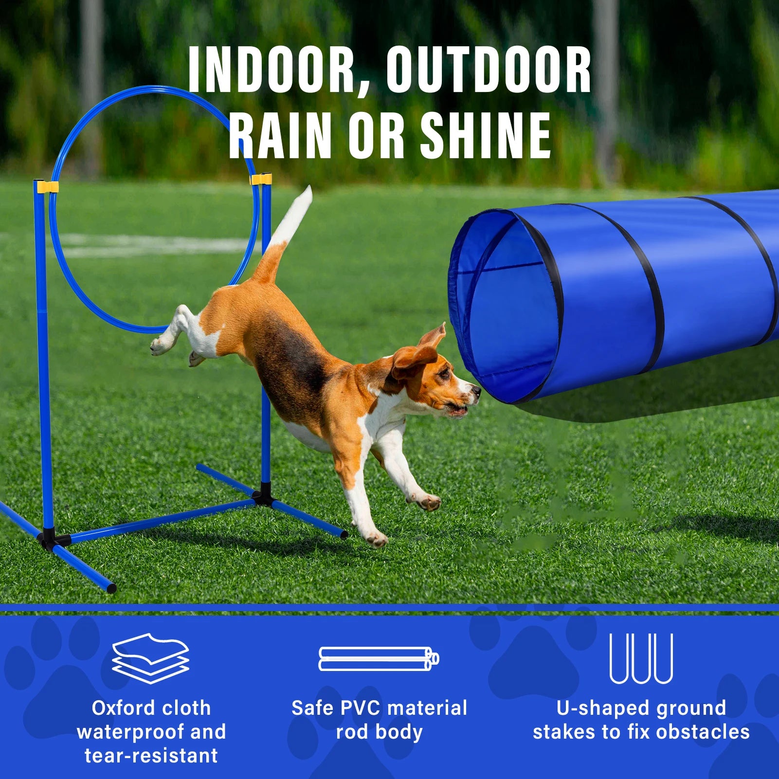 Dog Agility Course Backyard Set