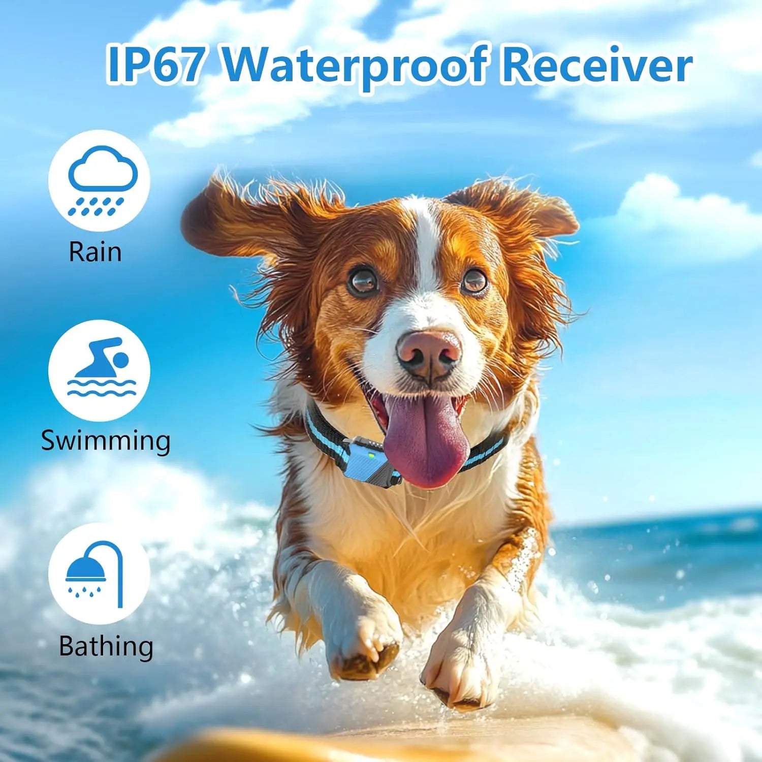 Waterproof Dog Training Collar for 2 Dogs