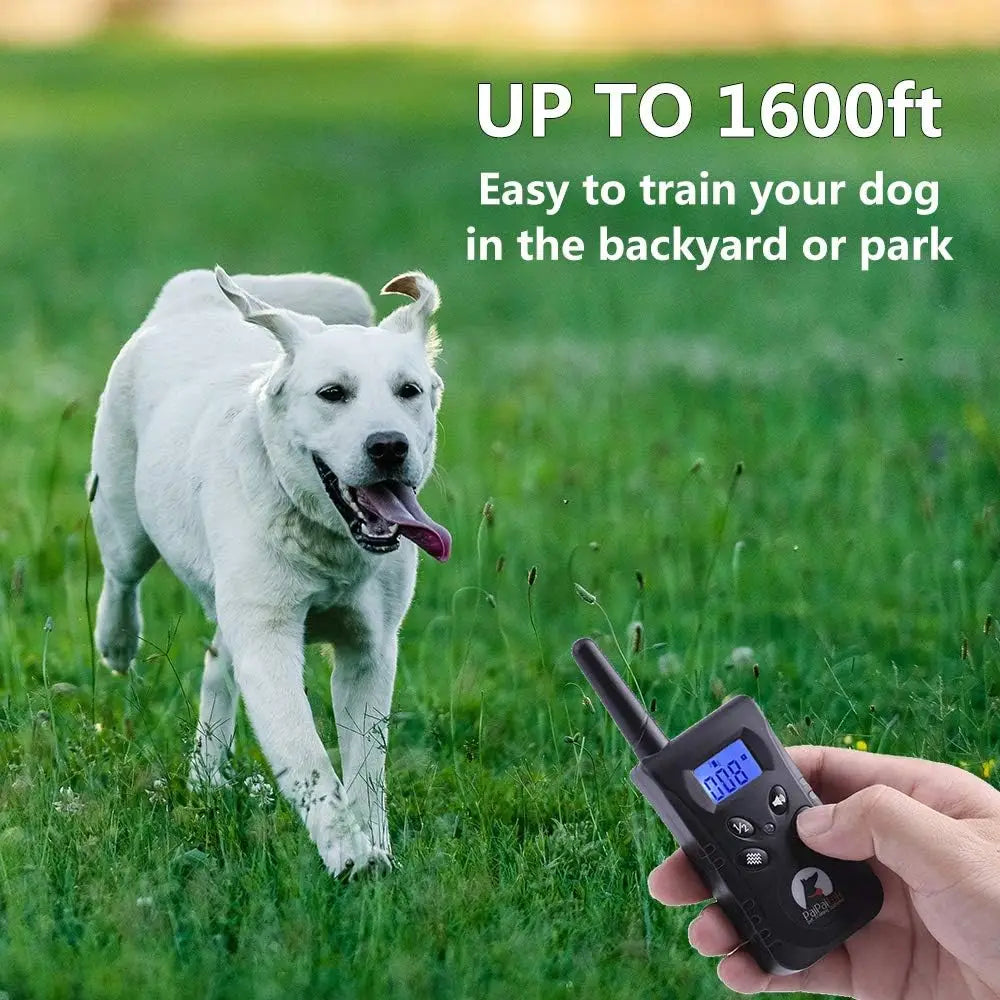 No Shock Dog Training Collar with Remote