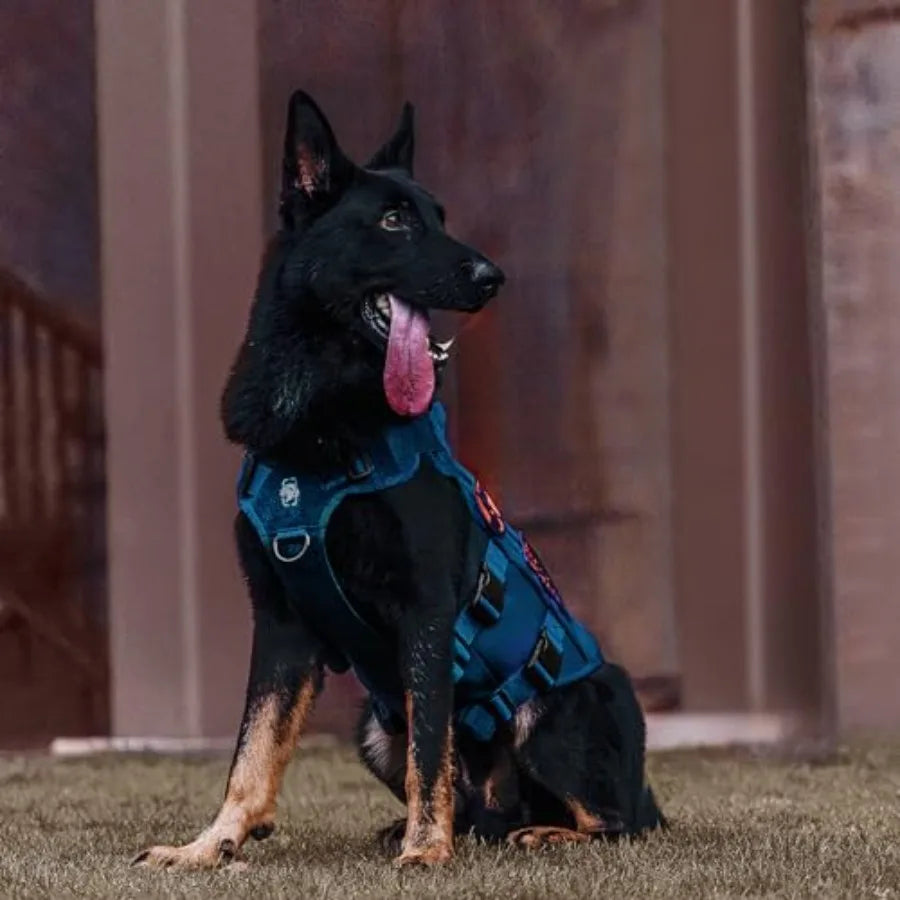 Tactical Dog Harness for Small Medium Large Dogs