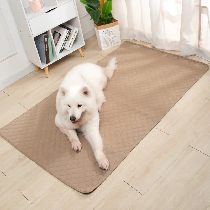 Dog Pee Pad Blanket Reusable Highly Absorbent Diaper Training Pad
