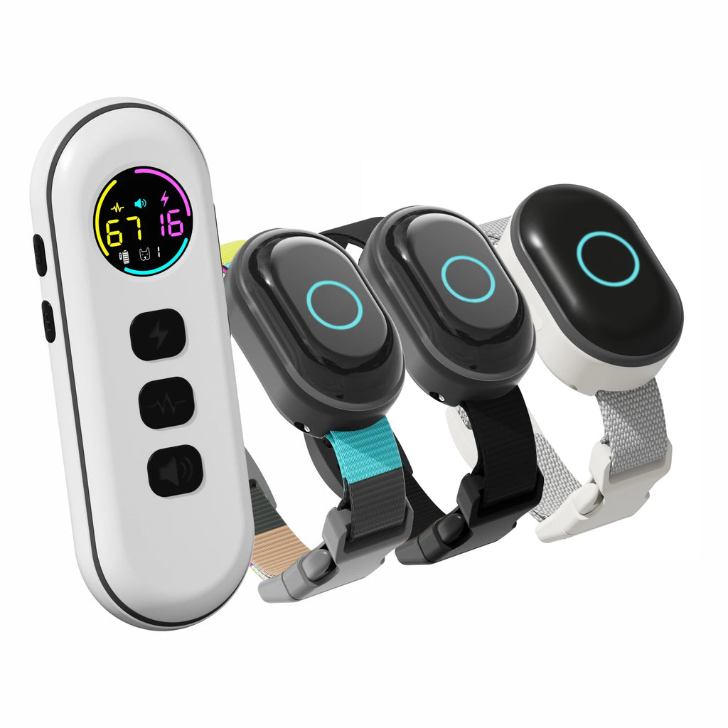 Rechargeable Small Dog Training Collar