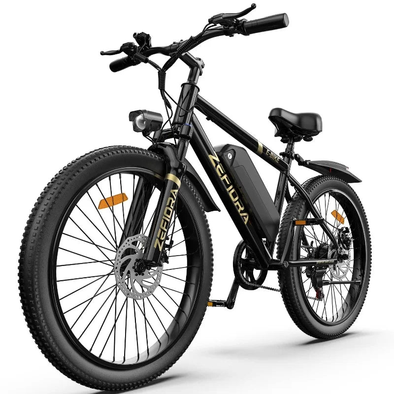 Mountain Electric Bicycle Outdoor Sports Fat Tire Motorcycle