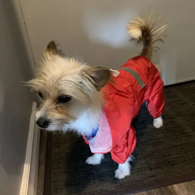 Dog Raincoat Double Waterproof Four Feet Wading Design]
