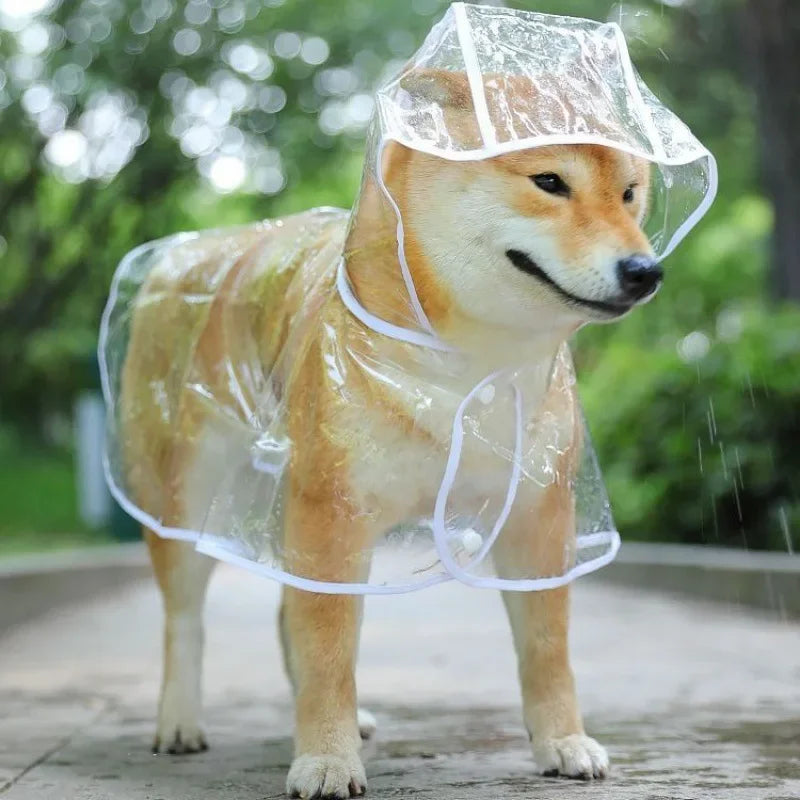 Clear Waterproof Dog Raincoat Small Medium Size