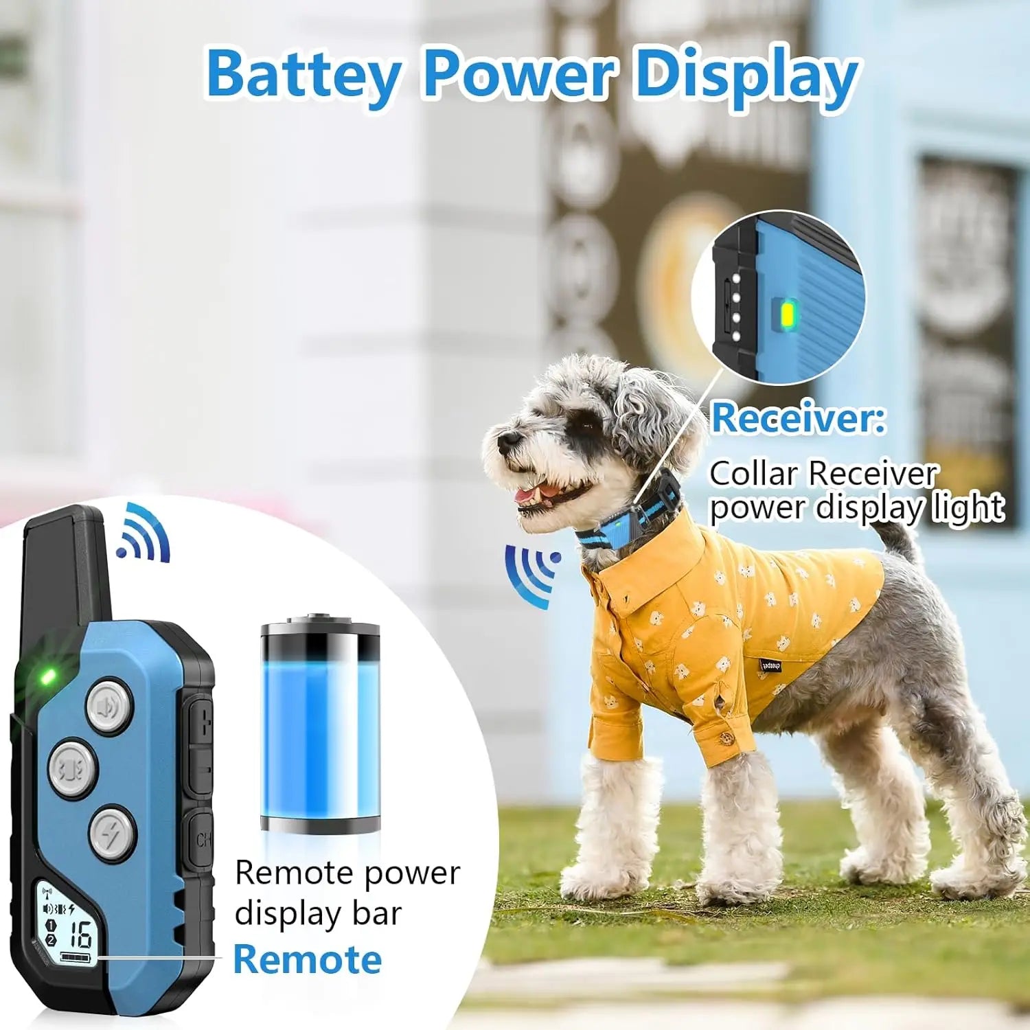 Waterproof Dog Training Collar for 2 Dogs