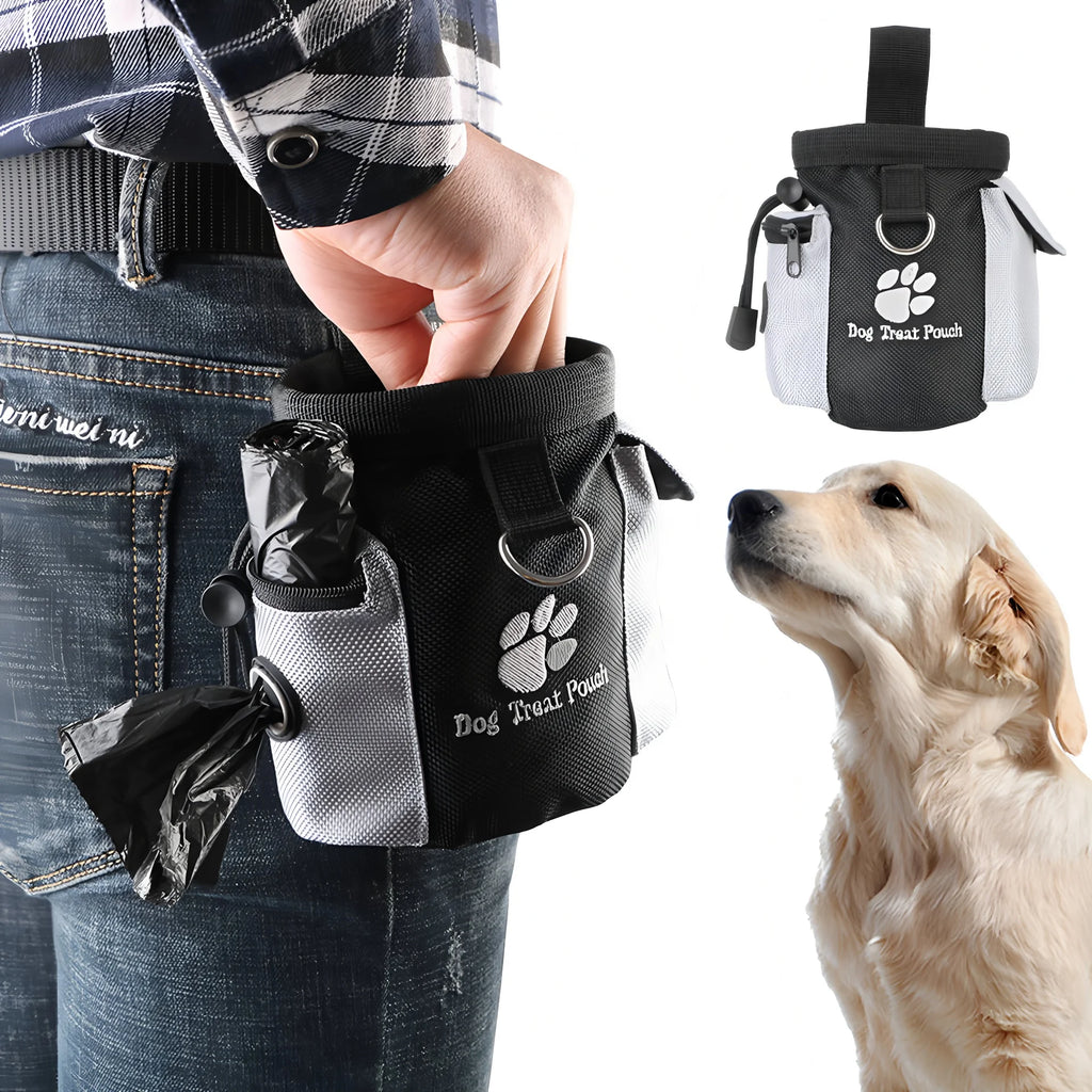 Dog outdoor training bag