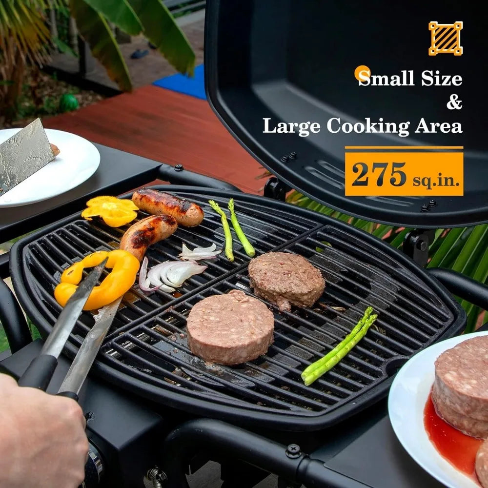 2 Burner Portable Desktop Propane Gas Grill
