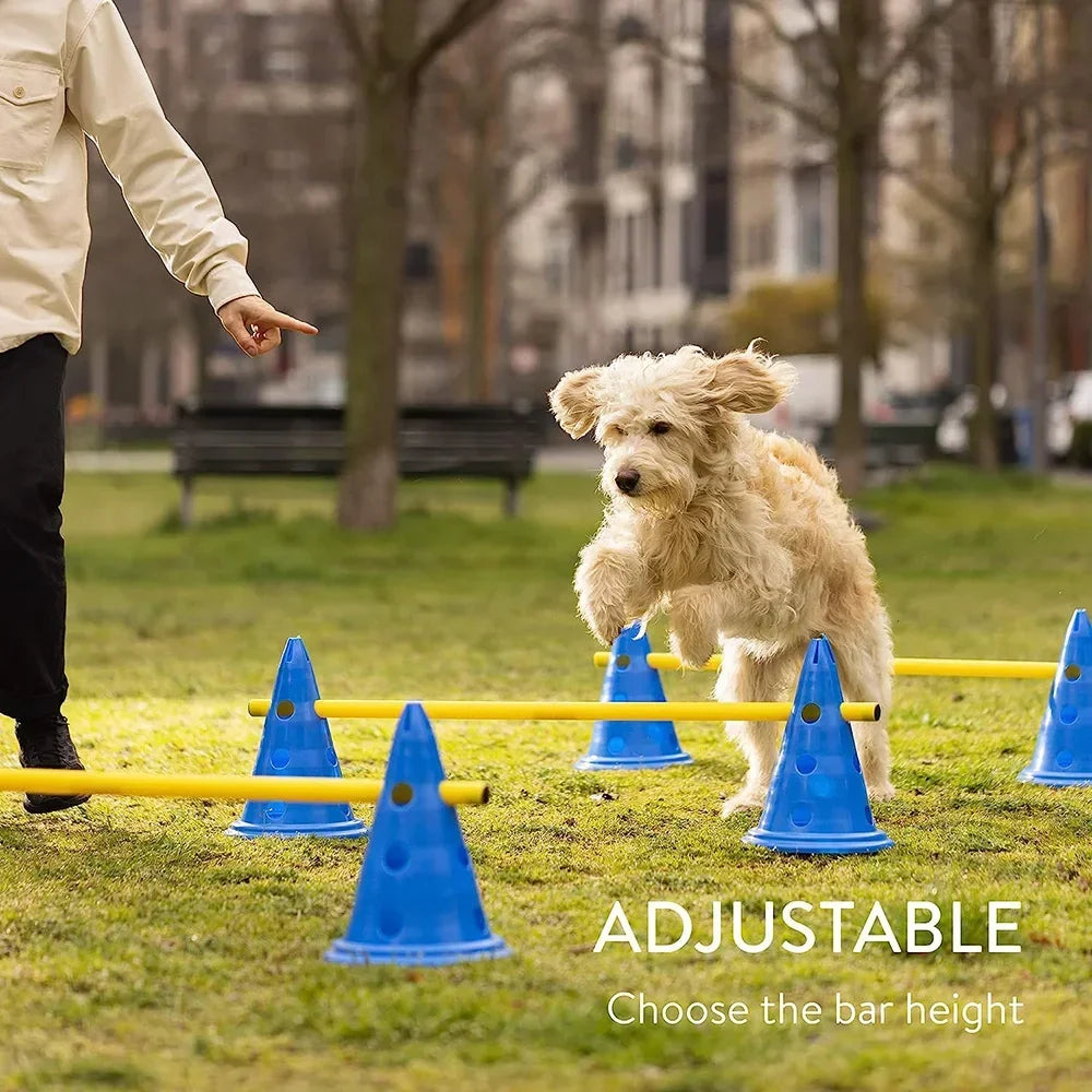 Obstacle Training Equipment Set for Pet